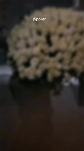 No me gustó 😔#randymesmo #tn #history #losmesmosshow #krolloshow