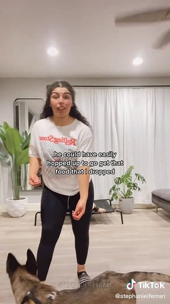 Multi Dog Household Training Session for Impulse Control and Name Recognition