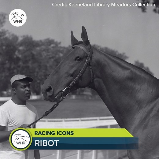 How much do you know about famous Italian racehorse Ribot? 🇮🇹 He was a bonafide champion in the 1950s. | World Horse Racing