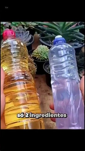Want to Discover How to Take Care of Your Plants? Check out the full videos on the channel! - @we...