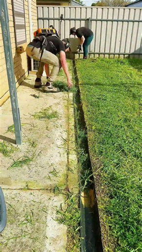 Overgrown Path Was Hiding a Drain