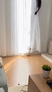 “He Popped the Balloon… The Cat Went FERAL 😱🦜💥 | Funniest Bedroom Prank Ever” #BalloonPrank #SavageCat #CockatooChaos #FunnyPets #CatVsParrot #ViralReels #PetComedy #EpicFail | Mr. Parrot