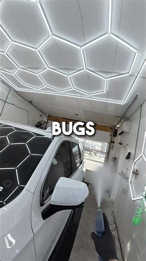 Things That Should Not Sit On Your Paint