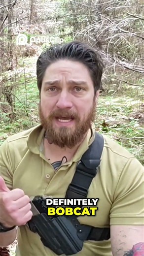 Wilderness Camping and Survival; Bushcraft Campcraft - Catch and Cook. #foraging