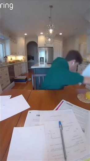 Ferret’s Epic Homework Attack Caught on Ring Camera! 🦦📚