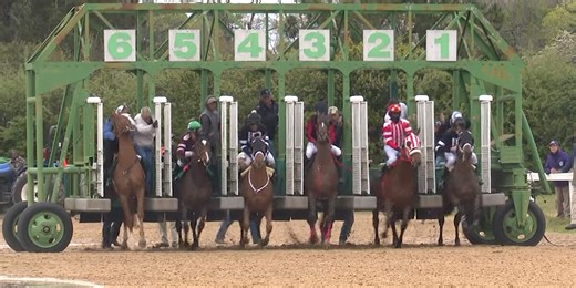 Bill could bring legal horse betting to South Carolina tracks 