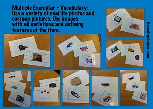Using Multiple Exemplars in Teaching {VIP} - The Autism Helper