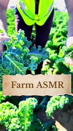 Relaxing Farm ASMR | Nature Sounds #asmr