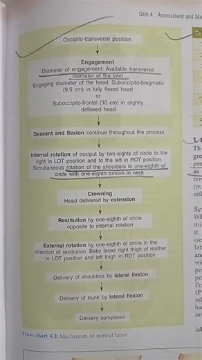 Mechanism of normal Labor
