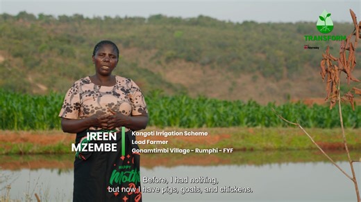 Celebrating Milestones for 2025 Year after year, farmers in Malawi face numerous challenges that hinder their agricultural productivity. These challenges range from unpredictable price fluctuations for essential farming inputs, persistent threat from pests and diseases, and erratic rainfall patterns caused by climate change. To combat these adversities, farmers have become increasingly innovative, opting to diversify their farming practices beyond traditional rain-fed methods. Through Transform 