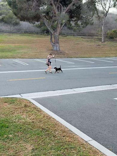 The Dog Listener-Emily Haley on Reels | Facebook