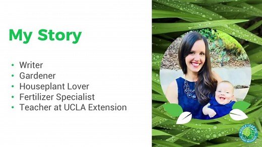 How Fast Do Fiddle Leaf Fig Trees Grow?  (With a Photo Timeline)