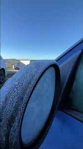 A Frozen Turd