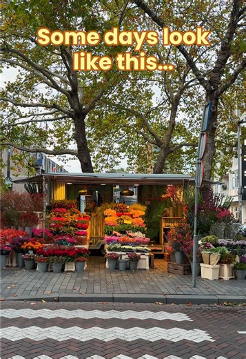 Daily Life Vlog in The Netherlands: Moments and Memories