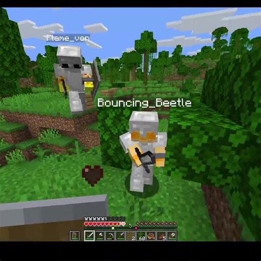 Ladder clutch #minecraft #viral #gaming #memes