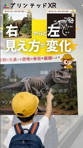 【新体験！】見る角度で“絵が変わる展示”。その仕組みとは？来場者が左右にに動くだけで、展示のビジュアルが切り替わる！！ #ショート #event #展示 #shorts #企画 #面白い