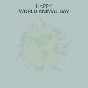 Happy #WorldAnimalDay! At Humanscale, we believe in protecting the environment and all creatures that live within it. | Humanscale | Facebook