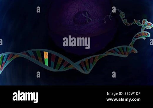 3d animation of Human Genome Project benefits showing DNA sequencing, medical advances, and biotechnology growth Stock Video Footage - Alamy