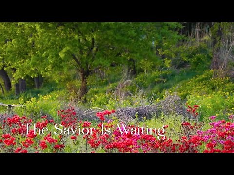 289 SDA Hymn - The Savior Is Waiting (Singing w/ Lyrics)