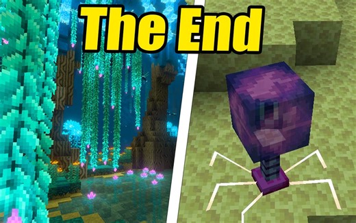 The Minecraft End But Reimagined with Mods | 《我的世界》结束了，但用Mods重新想象
