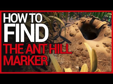 How to FIND THE ANT HILL MARKER on GROUNDED (2020)