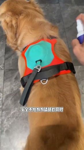 Spring Bug Sprays: Protect Your Garden