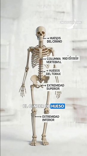 ¡Esto es lo que ocurre en el cuerpo con el cancer de hueso!🧠
