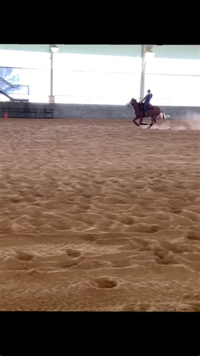 Creed: A Journey with Reining Horses at College