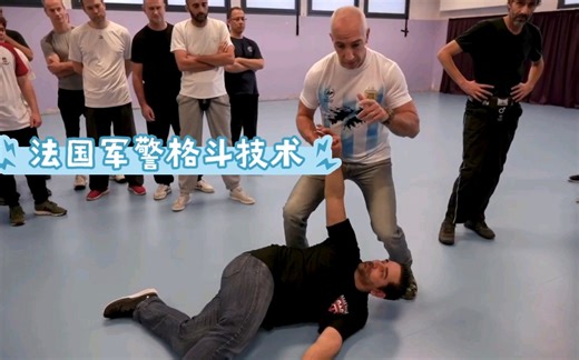 法国军警格斗技术