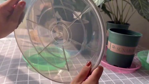 Zahler - ParaGuard Liquid Drops - Gut Health Supplement - Formula has Wormwood, Garlic Bulb, Pumpkin Seed, Clove & More - Natural Support for Humans - Certified Kosher (4 Oz) (4 oz., Drop)