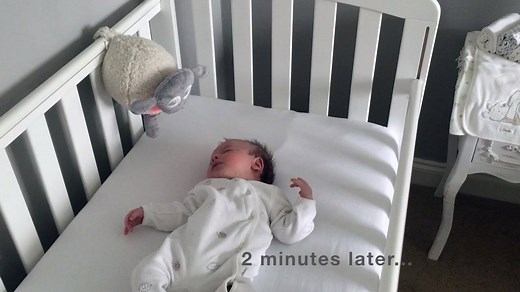 8.5K views · 13K reactions | Ewan the dream sheep plays actual womb and heartbeat sounds that can help relieve colic induced pain and help baby sleep by mimicking the comforting environment inside the womb. Watch ewan working his magic with baby Maddox  | Ewan the dream sheep and friends | Facebook