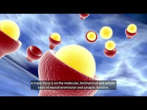 M.Sc. in Neuroscience