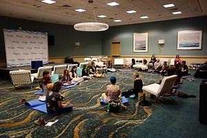 Learn Chan Buddhist Meditation for Free & Go Beyond Mindfulness