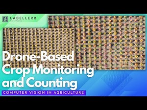 Drone-Based Crop Monitoring and Counting | YOLO Tutorial for Precision Agriculture