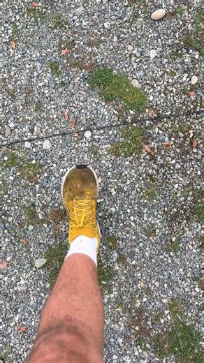 Red-tailed hawks have one of the most recognizable cries in the bird world! Popularized by Hollywood voice work in movies, television, and commercials. A territorial cry that works great for all types of bird species to make them fierce. One of the wild resident Red-tailed hawks came by to give a yell at us after flying a couple of our birds. We have called him “Chad” over the last couple of years fondly. Oh Chad. 😂 | The Falconer