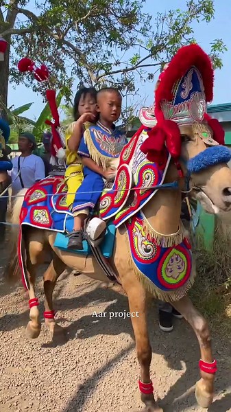 The eldest horse performs #kudarenggong