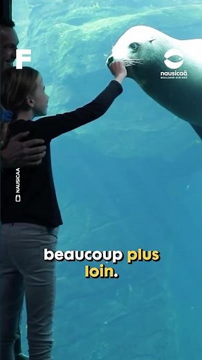 An aquarium is not just a display case, it's also a living laboratory!