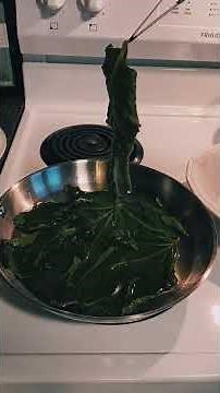Fig Leaf Syrup