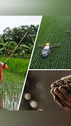 What is agriculture ‪@swatscience_RU‬