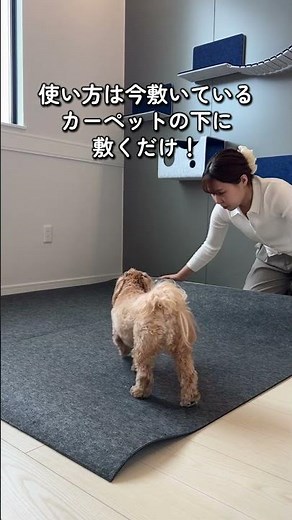 ＼これだけで床の防音性UP！／三層構造で足音をしっかり吸収🦶下敷き用防音マット！ #防音対策