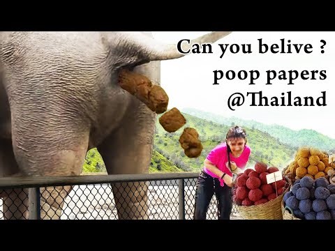 How to make paper out of elephant poo @Thailand