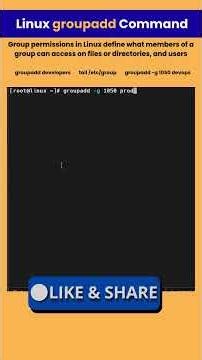 Fix Permission Denied in Linux 😱 | Add User to Group (groupadd + usermod) #shorts