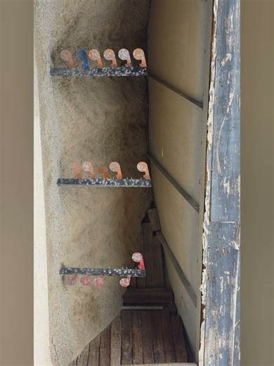 Dueling Tree @ Elm Fork Shooting Sports #shootingsports #9mmluger