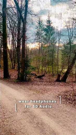 IMMERSE Yourself in The Sounds of Nature With 3D Audio!