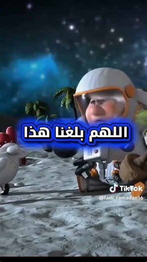 ٢٩ يناير ٢٠٢٦