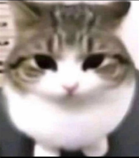 Mastering Lyrics: Overcoming Slip-Ups