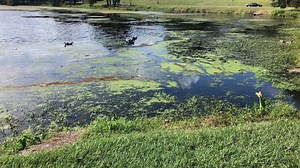Construction preparation begins on LSU lakes