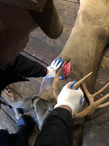 Product Review: SEVR Broadheads | Deer & Deer Hunting