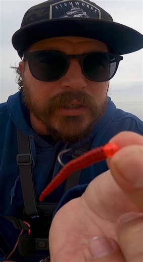 How to catch surf perch in Socal! . . . #surffishing #surfperch #shorefishing #socalfishing #oceanfishing #fishing #carolinarig #fishingrigs #fishingnewport #catchandcook