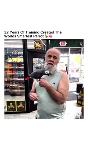 Amazing 32-Year-Old Parrot Shows Incredible Tricks